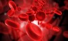 blood cells